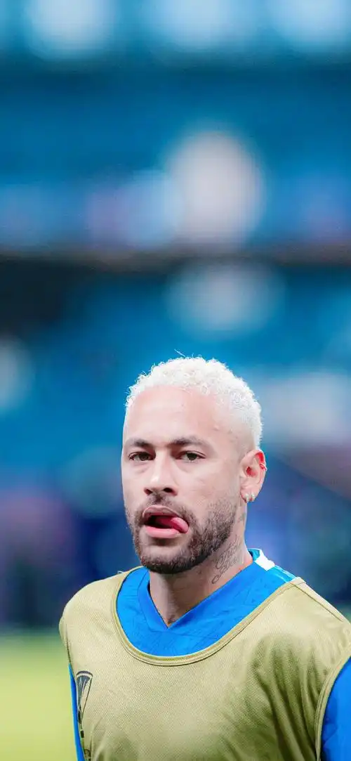 伊布拉希莫 伊布拉希莫