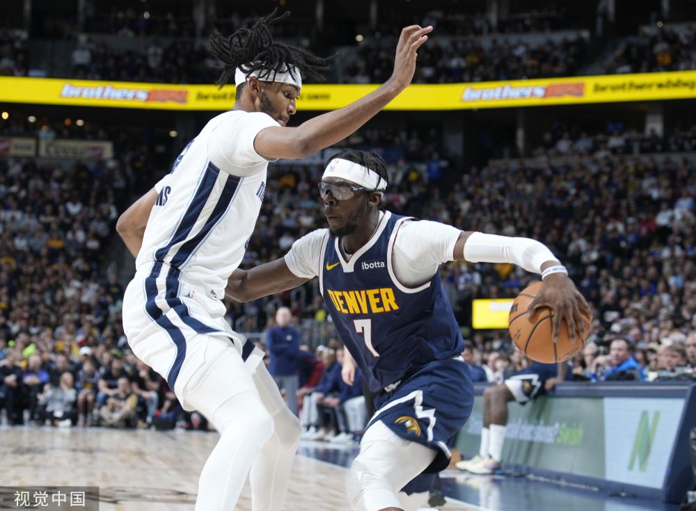 风险提示 风险提示